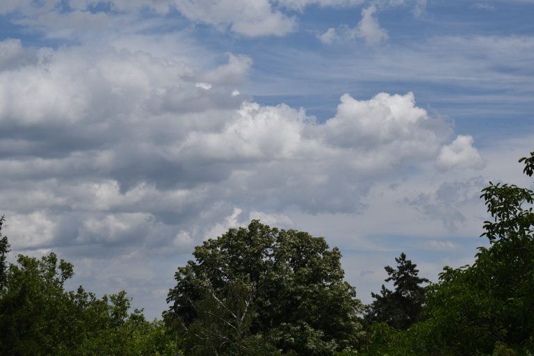 Green landscape with the clouds and blue sky above.