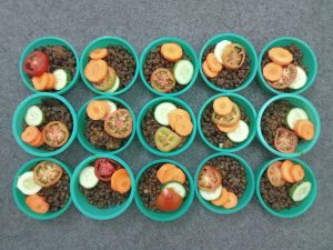 View larger photo: Cooked Chickpeas in a plastic bowls