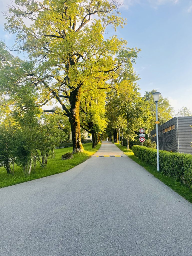 A tree lined road heading into the distance. Private sign on the right side of the photo.