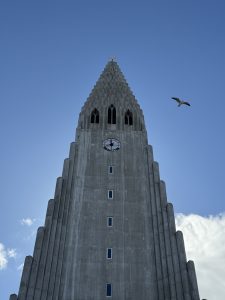 View larger photo: A seagull flying over the Hallgrimskirkja in Reykjavik, with a mostly clear blue sky in the background.