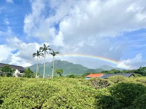  A large rainbow across a blue, partially cloudy sky above mountains, with three palm trees and several Japanese houses in the foreground.
