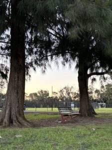 A park bench in between two large trees at a park. A fenced off area is visible in the background, as well as some people visiting the park.