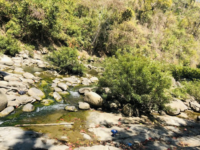 A serene landscape featuring a shallow stream flowing over moss-covered rocks, surrounded by lush green vegetation. Sunlight filters through the trees, casting dappled shadows on the water and rocks.