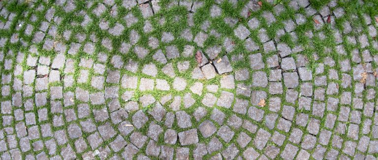 A circle of cobble stones with green plants between them.