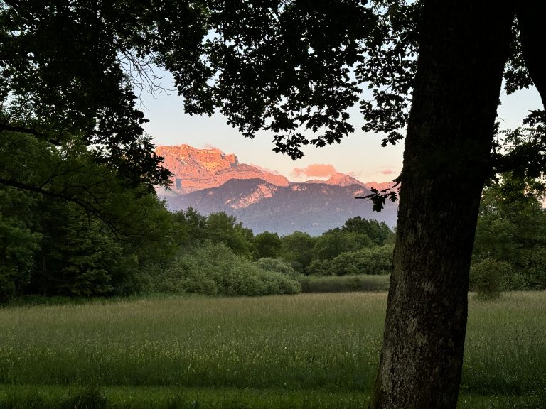 A scenic view of distant mountains bathed in warm light from a setting or rising sun, framed by dark silhouettes of tree branches and a tree trunk in the foreground, with a meadow and dense green trees in the middle ground.