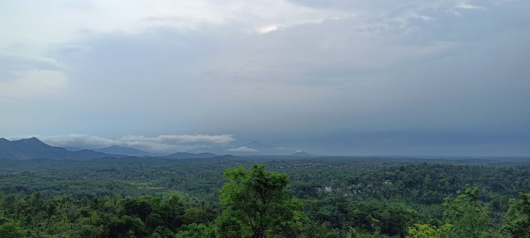 A panoramic view of a lush, green forest covered landscape with distant mountains under an overcast sky. The horizon is shrouded in mist, creating a tranquil and serene atmosphere.