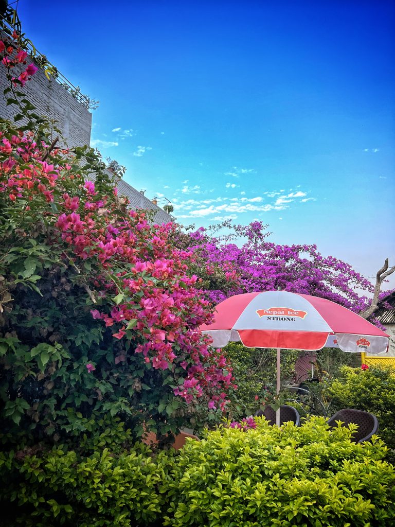 A peaceful restaurant with flowers in the garden, a large umbrella providing shade, and a clear blue sky.