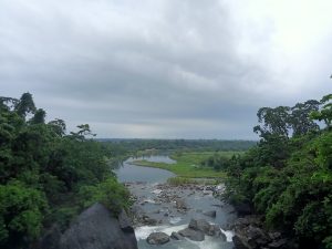 A river flowing through a lush, green forest with rocks and boulders in the water, under a cloudy sky at Borhill Falls, Meghalaya, India