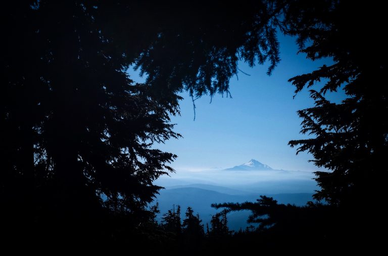 Clear view of a large mountain in the distance surrounded by blue skies in between an outcropping of trees and tree branches.