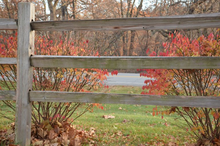 Wood fence in the foreground and fall colored leaves on bushes and trees in the background