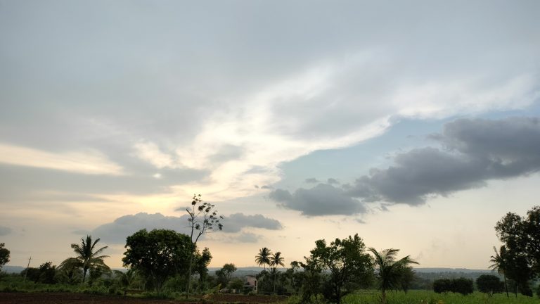 A scenic landscape view featuring a field with various trees and palm trees in the foreground. The sky is cloudy with patches of light breaking through, indicating either sunrise or sunset.