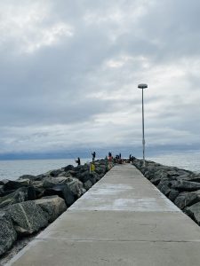  Numerous people are fishing by the sea
