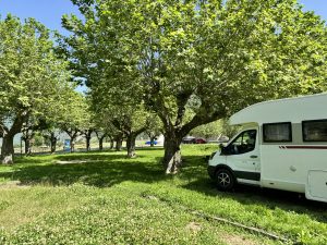 A white camper van is parked on a grassy area under the shade of tall, leafy trees. The sky is clear and blue. In the background, there are more trees, a road, and a few vehicles.