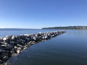 A rocky breakwater extends into the calm, blue waters of a body of water under a clear sky. In the distance, a forested coastline and hills with houses can be seen.