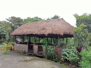 一间茅草屋顶的木屋，周围是茂盛的绿色植物和树木。