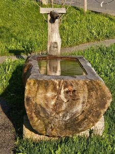 View larger photo: outdoor water spout. water flowing into a trough, surrounded by grass