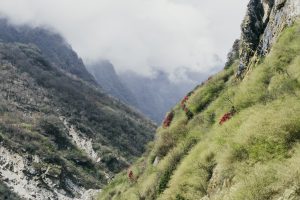 A mountainous landscape with green slopes and sparse vegetation. Red flowers dot the hillside, and the peaks are shrouded in mist and clouds.