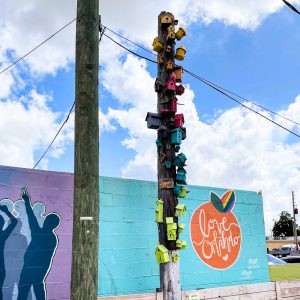 An old wooden telephone pole with a wide variety of painted birdhouses attached to it. The birdhouses are arranged in a rainbow gradient. Behind the pole is a wall with an orange painted on a blue background. The orange has a rainbow stripe leaf, and the text "Love Orlando" on it in cursive