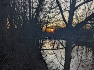 Sunset through branches of bare trees alongside a river, with the sun just above the horizon