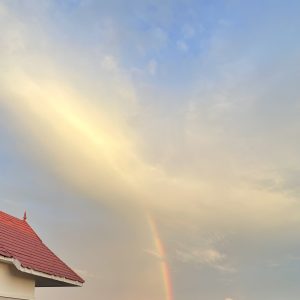 在一个阳光明媚的夜晚，高知市天空中的彩虹，旁边是红色的建筑屋顶。 
