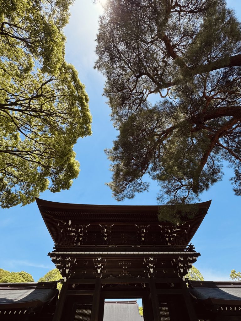 A traditional wooden Japanese gate with intricate carvings, framed by tall trees with green leaves against a bright blue sky. Sunlight filters through the branches, casting shadows on the structure below.