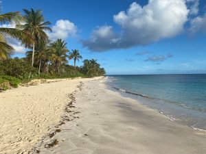 Culebra Beach in Puerto Rico white sand palm trees 