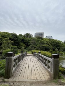 View larger photo: A wooden bridge crossing a pond in a lush green park. Two modern highrise buildings can be seen in the distance, against cloudy sky.