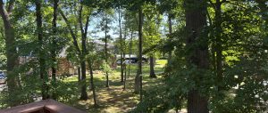 Apartment complex courtyard, filled with trees.