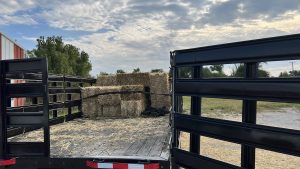 Long bed truck with metal gates containing strapped down straw bales (Ludwig's Feed Store, Lemont, Illinois)