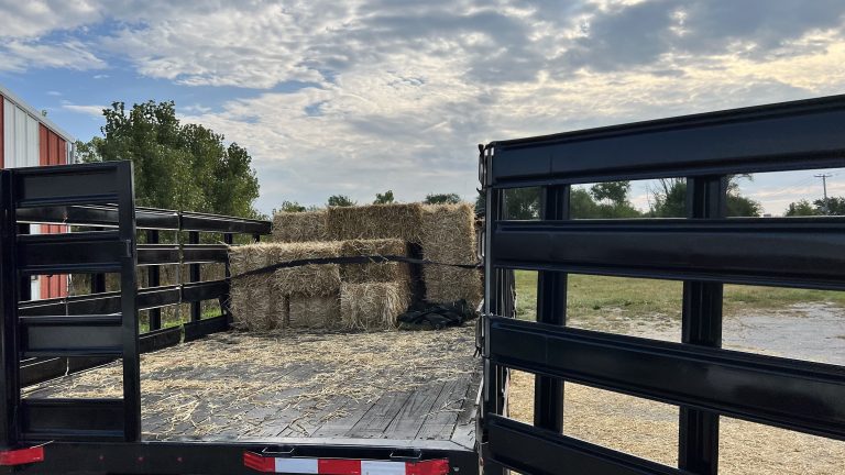 Long bed truck with metal gates containing strapped down straw bales (Ludwig’s Feed Store, Lemont, Illinois)