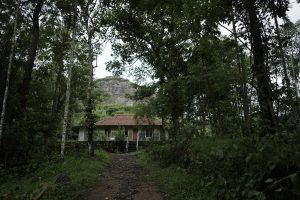 View larger photo: An old house in a forest