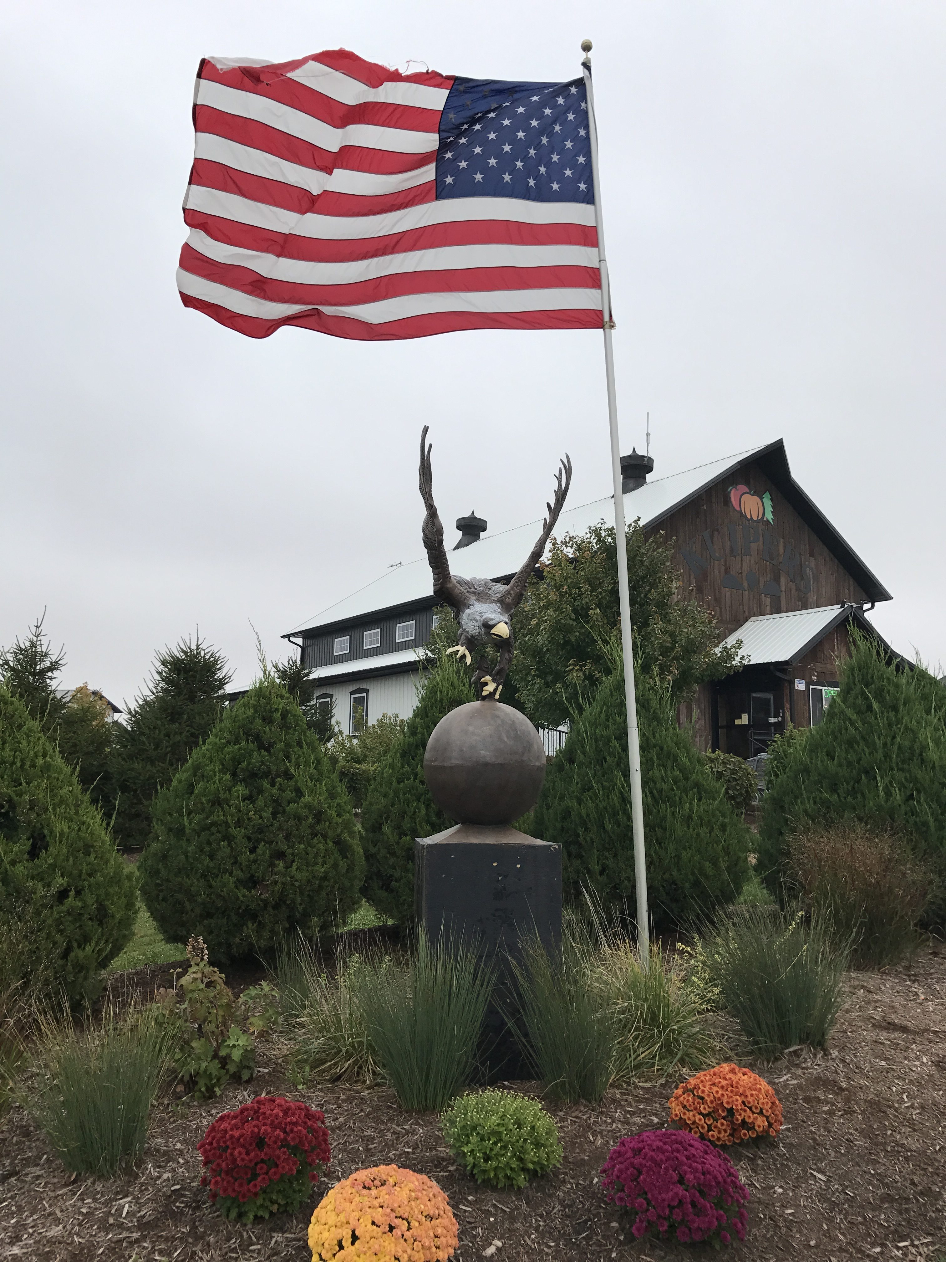 American flag flying in front of a large brown barn with an eagle sculpture and mums in the foreground (Kuipers Family Farm, Maple Park, Illinois)