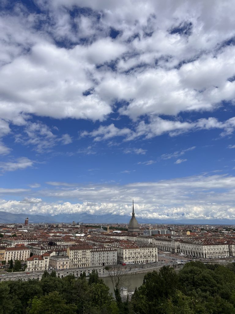 This picture shows panoramic view of city of Turin