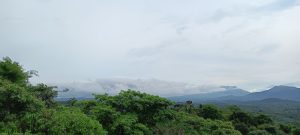 View larger photo: A lush, green forest landscape with dense trees in the foreground and rolling hills or mountains in the background, partially obscured by low-hanging clouds under a lightly overcast sky.