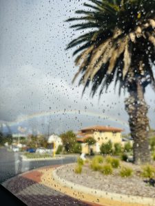  A picture clicked behind the glass with water droplets including a view of a tree and a rainbow.
