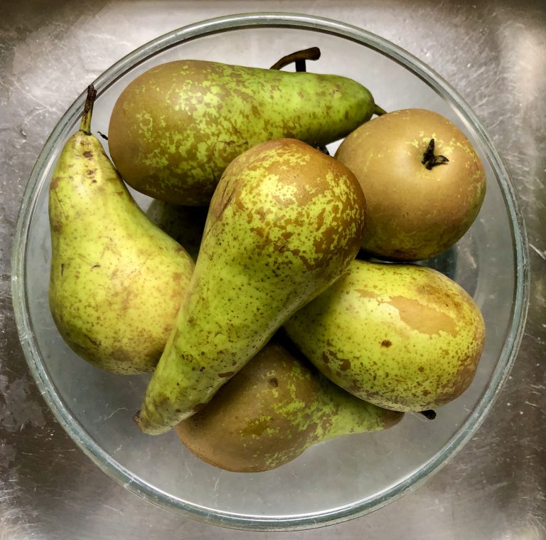 A glass bowl filled with green pears with brown spots, sitting on a brushed metal surface.