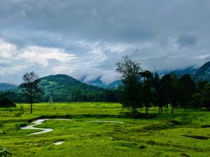 Thonikkadavu near Kariyathumpara in Kozhikode district of Kerala. A stream wending its way across lush green fields with a few trees.  A mountain in the background, covered in trees, with low clouds scudding overhead.