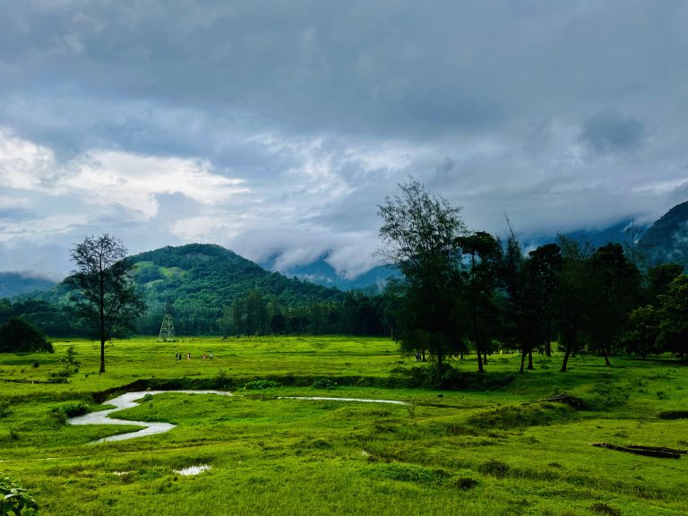 Thonikkadavu near Kariyathumpara in Kozhikode district of Kerala. A stream wending its way across lush green fields with a few trees.  A mountain in the background, covered in trees, with low clouds scudding overhead.