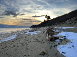 View larger photo: A beach in Cape Cod with paw prints and foot prints, a large piece of driftwood, and some patches of snow with the sun setting behind the hill.