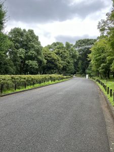 A girl is walking in a pitch road, and it is surrounding by trees. 