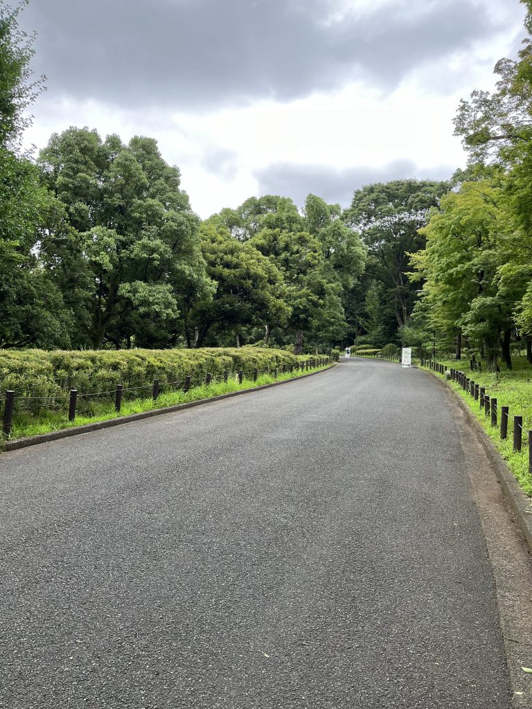 A girl is walking in a pitch road, and it is surrounding by trees.