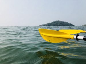 View larger photo: Yellow kayak paddles resting on calm water with a distant view of a small green island under a clear sky.