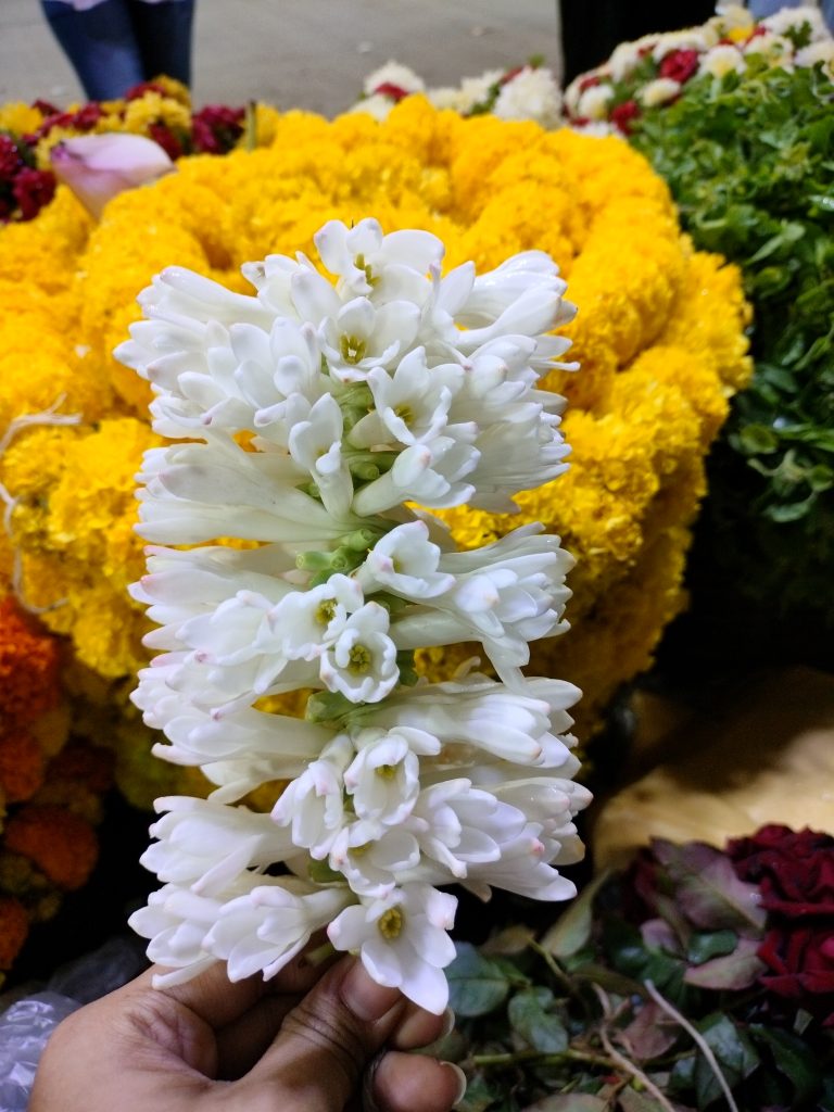 A close-up of a hand holding a stem of white flowers, displayed against a background of vibrant yellow flowers