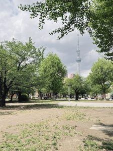 Okyo's Skytree Tower, seen from a park with green trees, on a cloudy day.