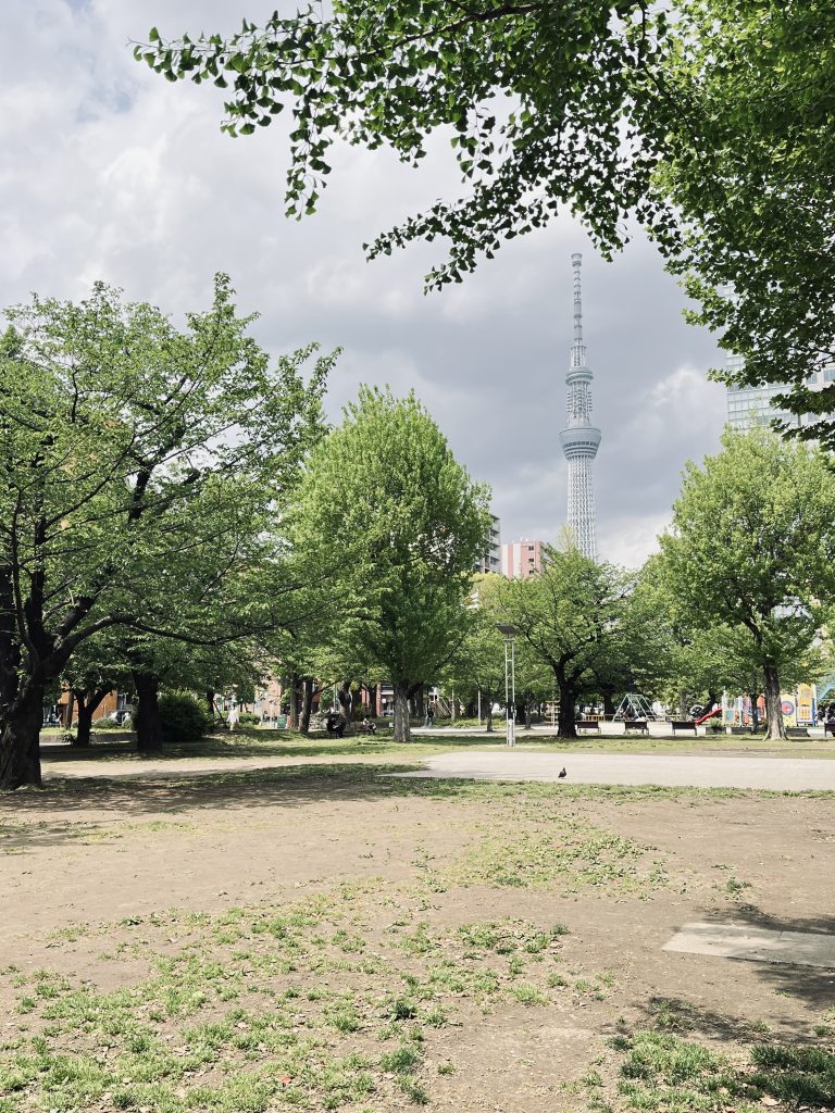 Okyo’s Skytree Tower, seen from a park with green trees, on a cloudy day.