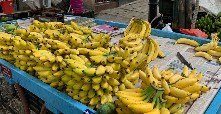 A market stall displaying a large quantity of ripe yellow bananas stacked on blue trays.