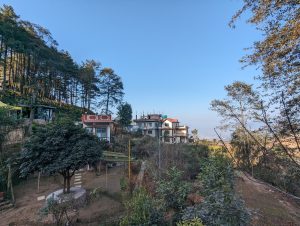 View larger photo: Houses on a terraced mountainside in Nagarkot, Nepal, surrounded by plants and trees. There's a blue sky overhead.