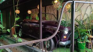 An old purple convertible car is on display behind a wrought iron barrier