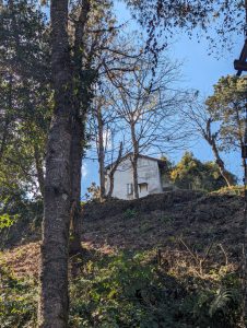 A small, old, white house is situated on a hillside, surrounded by tall trees with sparse branches. The sky is clear and blue, and the ground is covered with a mix of greenery and dried foliage. Sunlight filters through the trees, creating a serene and peaceful atmosphere.