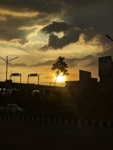 View larger photo: The sunset, seen across a street, with several buildings and an overpass in the background. The silhouette of a young tree is prominently featured in the center of the image.